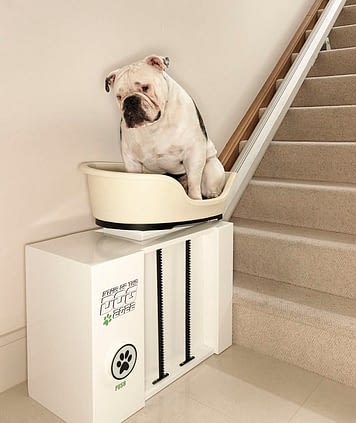 diy stair lift for dogs